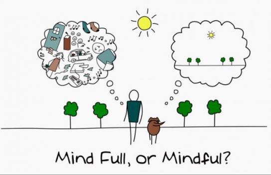 MINDFUL COMMUNICEREN: 9 TIPS OM METEEN TOE TE PASSEN  