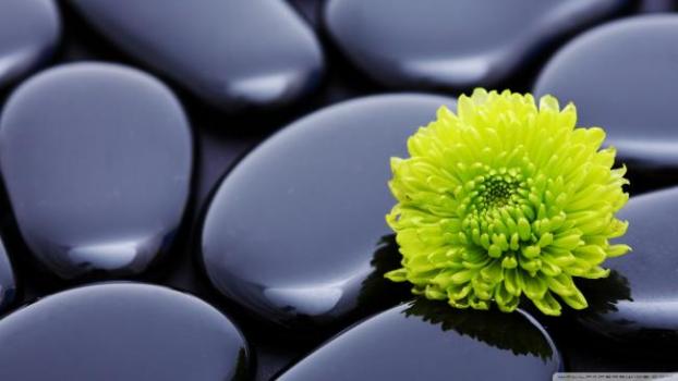 Voorbereiding op een massage
